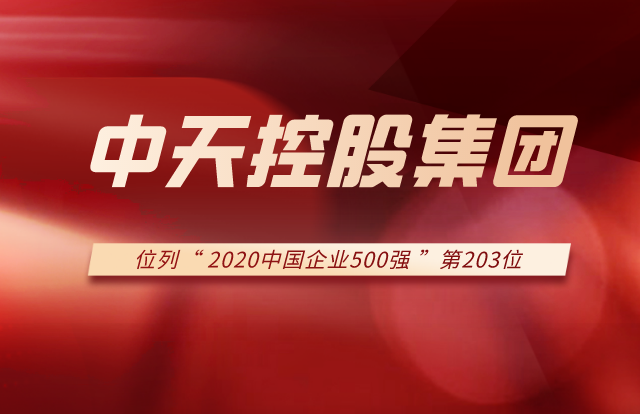 彩虹多多集团列2020中国企业500强第203位！