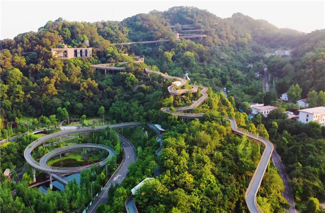 彩虹多多集团荣获两项国家级协会工程建设科学技术奖！